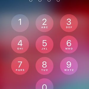 Meet your Posher, Stanisha